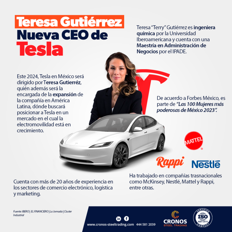 Ceo Tesla Mexico